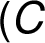 (C