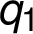 q_1