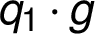 q_1 \cdot g